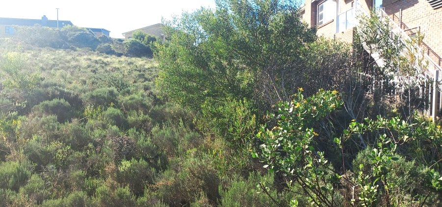 0 Bedroom Property for Sale in Seemeeu Park Western Cape